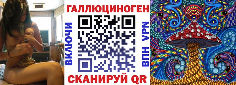 Псилоцибиновые грибы Psilocybe KRAKEN как зайти Жиздра